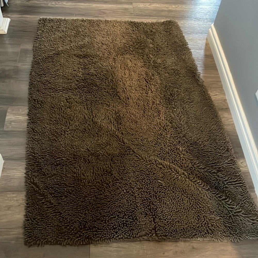 Brown shag carpet